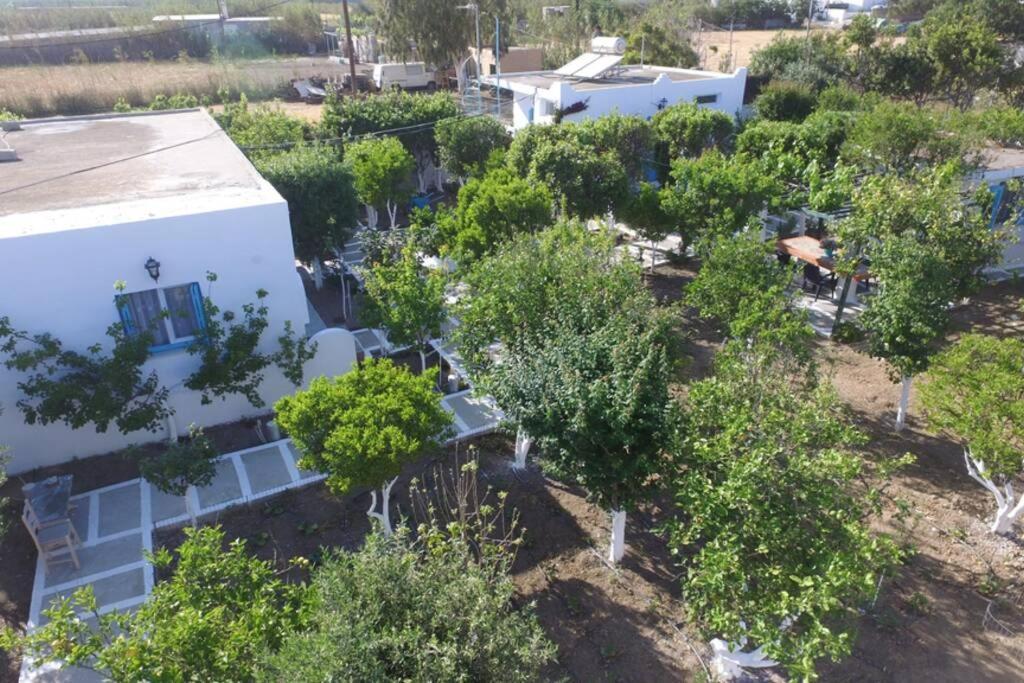 Ferienwohnung Perivoli 4-Chora Agkidia Exterior foto