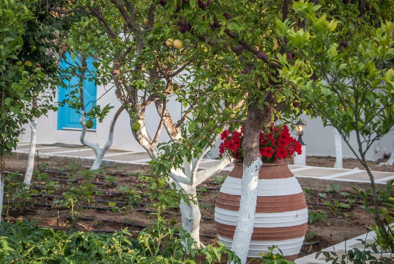 Ferienwohnung Perivoli 4-Chora Agkidia Exterior foto
